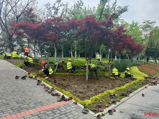 天府黃、錦官橙、太陽神鳥 成都三環路換上了新裝你注意到了嗎