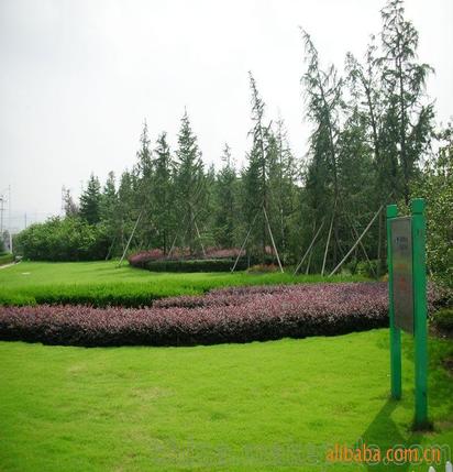 承攬綠化工程、園林施工、園林綠化工程養護