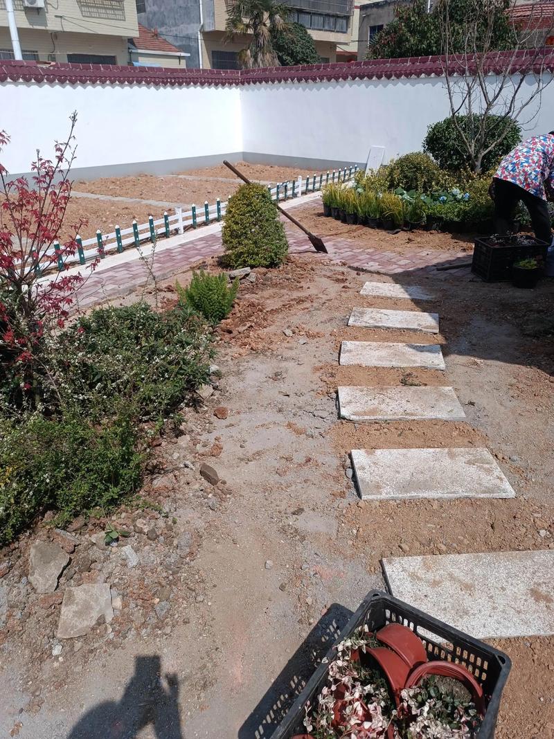 單位綠化施工現(xiàn)場#園林景觀 #景觀工程