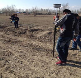 園林綠化施工技術(shù)大全