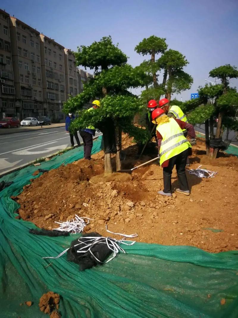 綠化園林工程.綠化園林工程打造美麗環(huán)境,從綠化施工開(kāi)始.我們