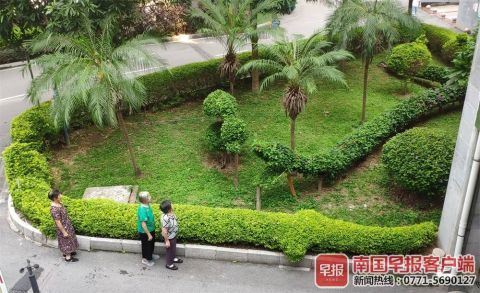 南寧綠化工人五年匠心打造動物世界主題園林，綠色藝術(shù)驚艷全城